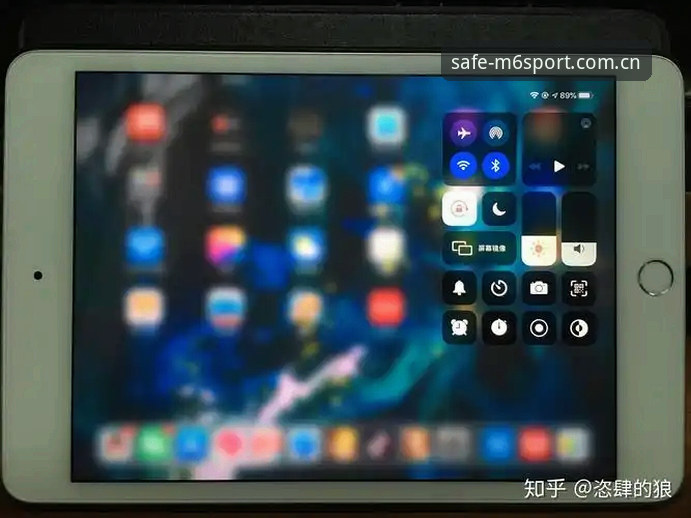 M6体育官方登录首页 vs 第三方镜像站：安全性与便捷性全面对比